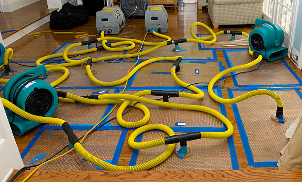 Professional Water Damage Restoration technician working in Verona, IL